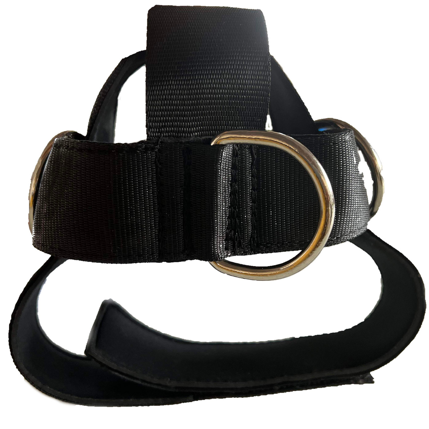 Head Harness